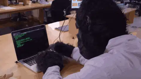 跳房子