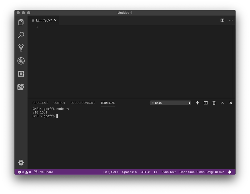 检查以确保 Node 已安装
