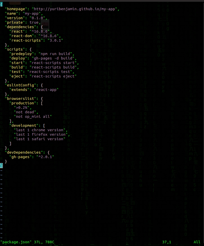 package.json 示例