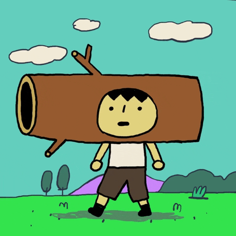 日志