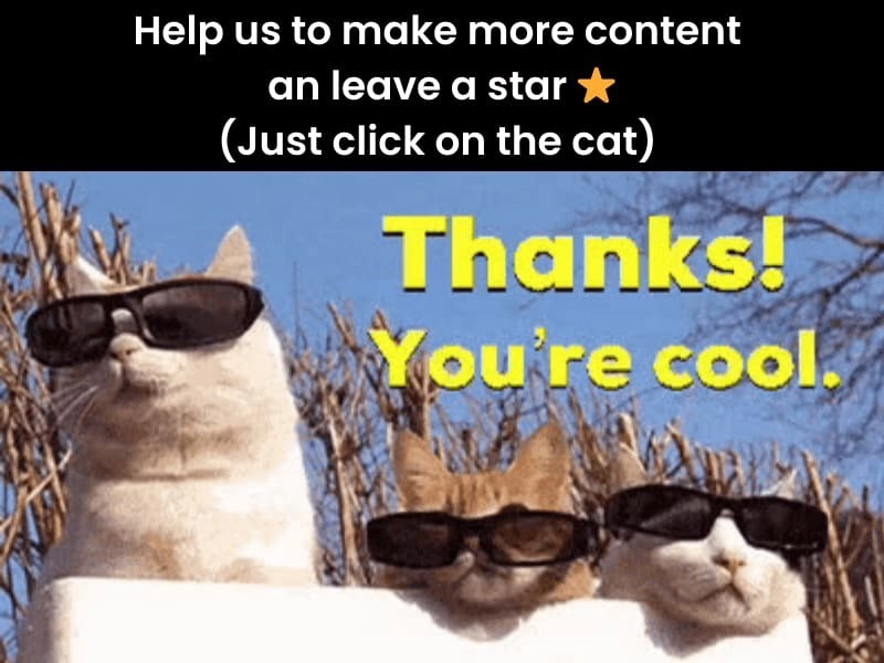 就连小猫也喜欢给星星