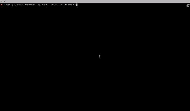 使用 htop 进行单命令进程监控