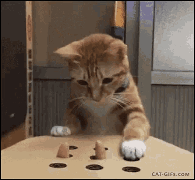 打地鼠 GIF | Tenor