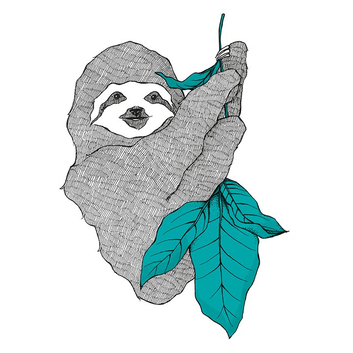 斯隆形象