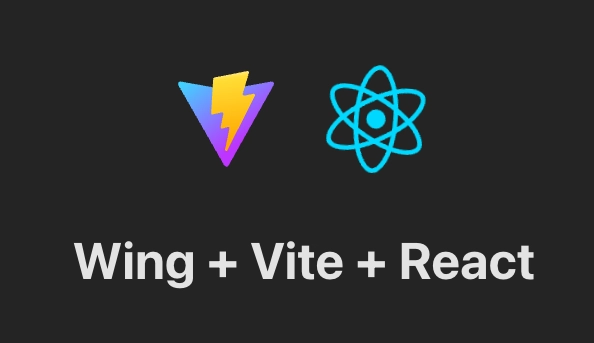 React + Vite + Wing