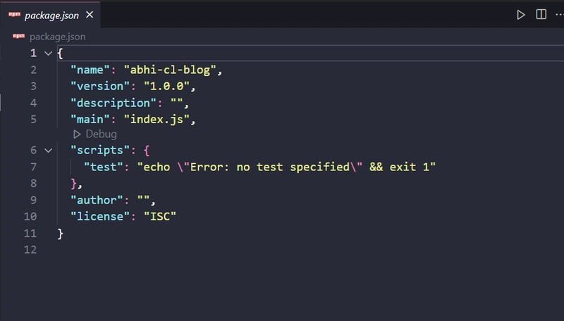 package.json