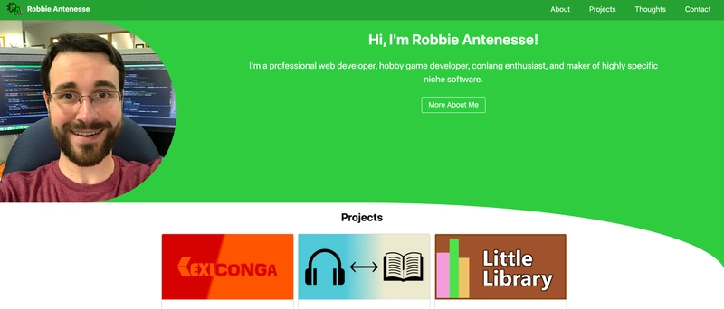 在他的投资组合中，Robbie Antenesse 将项目作为投资组合的第二部分