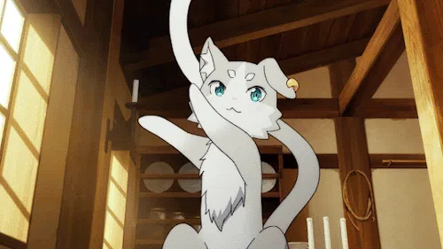 我们开始吧