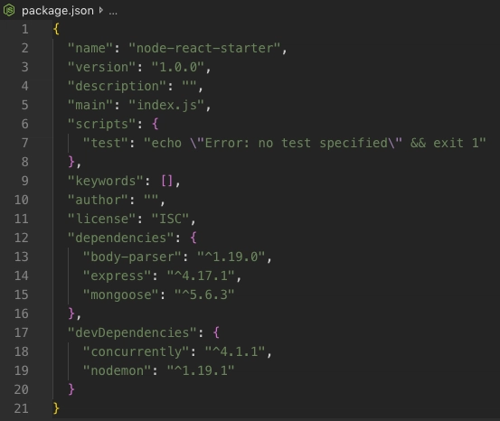 package.json 文件示例