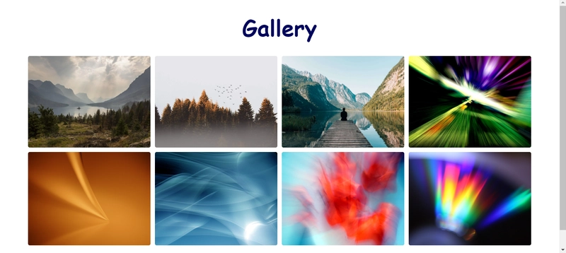 浏览器视图