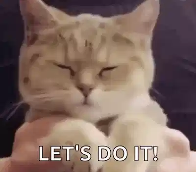 猫，我们这样做吧
