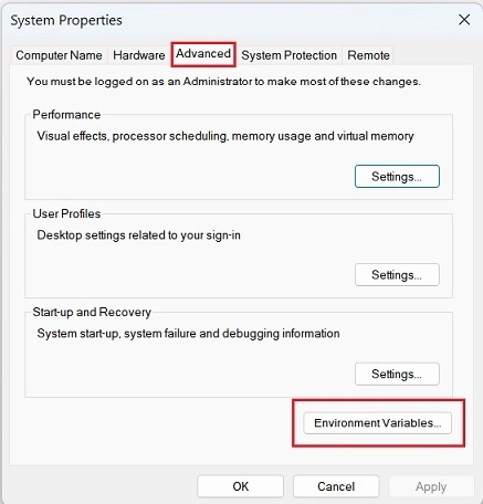 Windows 上的“系统属性”对话框中的“高级”选项卡
