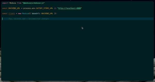 Medusa TypeScript IntelliSense