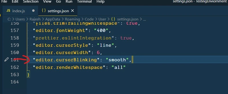 Alt vs Code 编辑器光标设置 json 文件截图