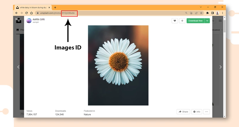 如何链接 Unsplash 中的图片