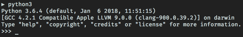 Python REPL