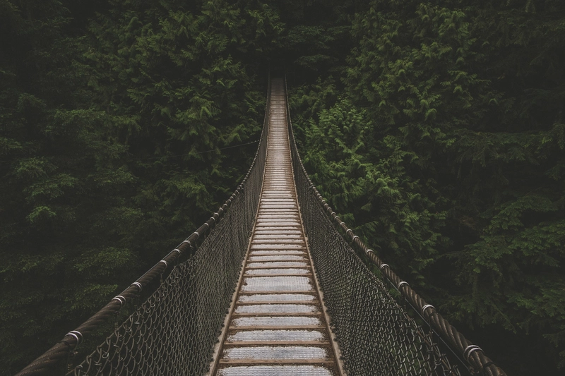 图片来自 unsplash