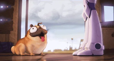https://media3.giphy.com/media/JQ9Nwbtcn4PyLqgAS2/giphy.gif?cid=7941fdc6ths6zlk79k1t4i14mbza4yyg9ulg5yns1ucno0mn&ep=v1_gifs_search&rid=giphy.gif&ct=g