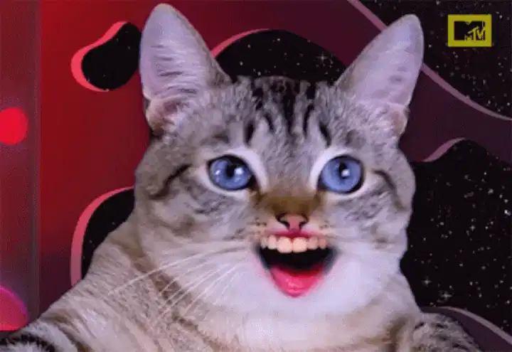 AI猫GIF