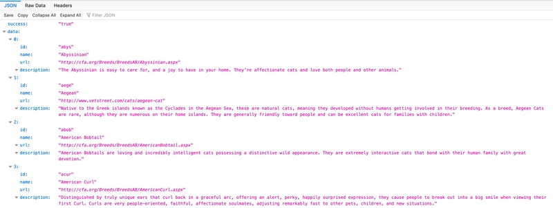 浏览器中美化的猫咪 API JSON 响应对象