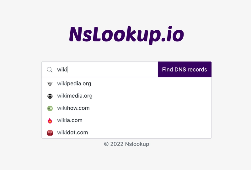 在 NsLookup.io 上自动完成 DNS 查找