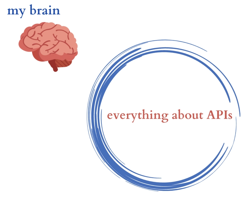 我的大脑图像，位于标有“有关 API 的一切”的圆圈外面