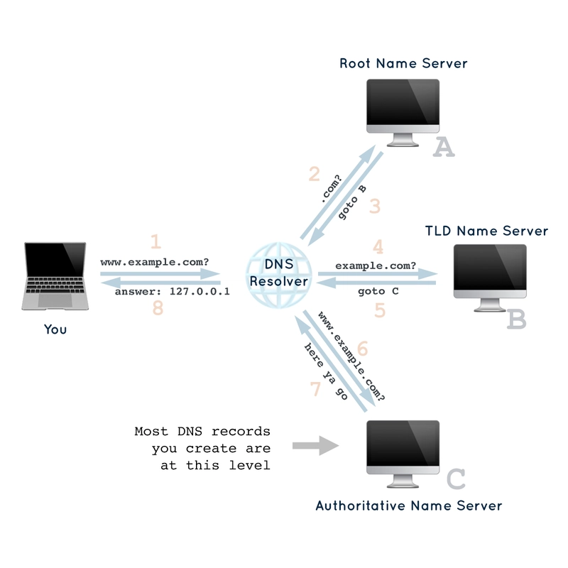 DNS 图表