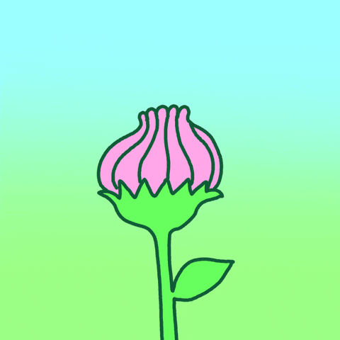 瓢虫你好