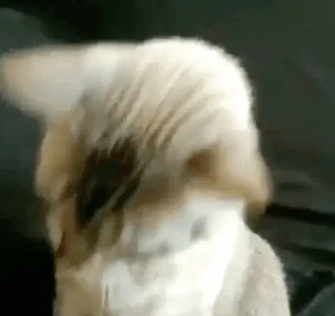 走