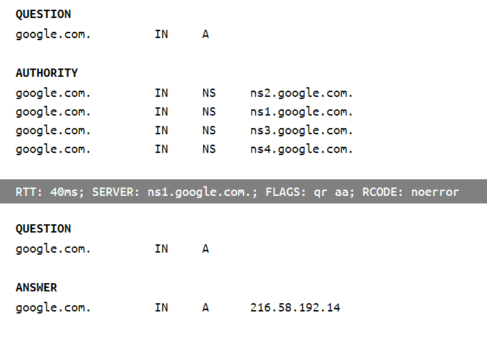 google.com 的 DNS 查找响应