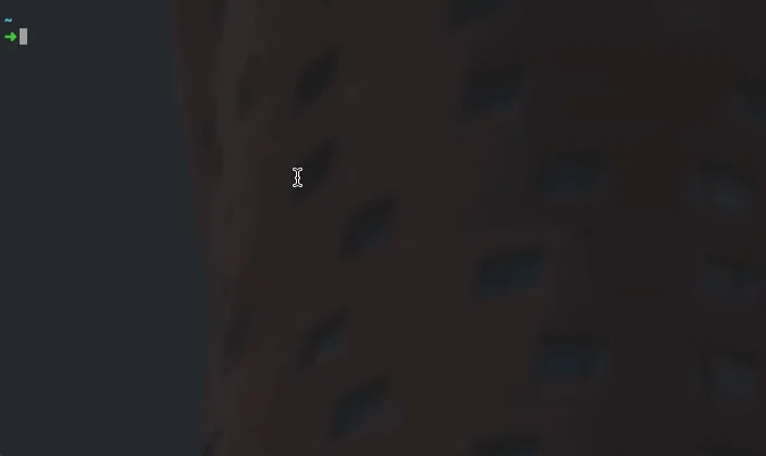 演示
