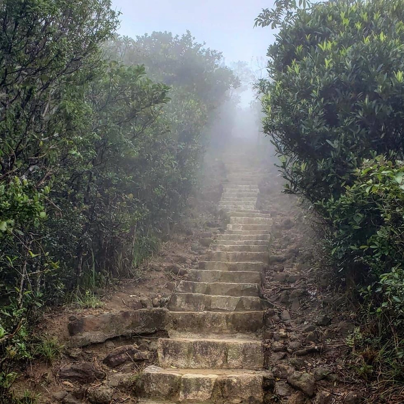通往未知的阶梯