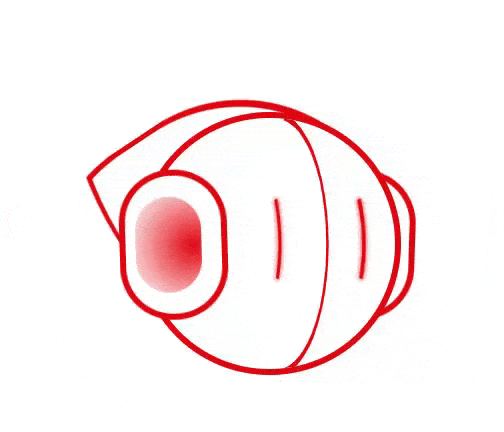 Thalita网站追踪插图