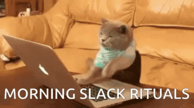 Slack Ritual
