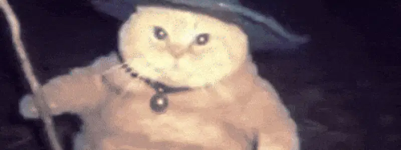 巫师 GIF