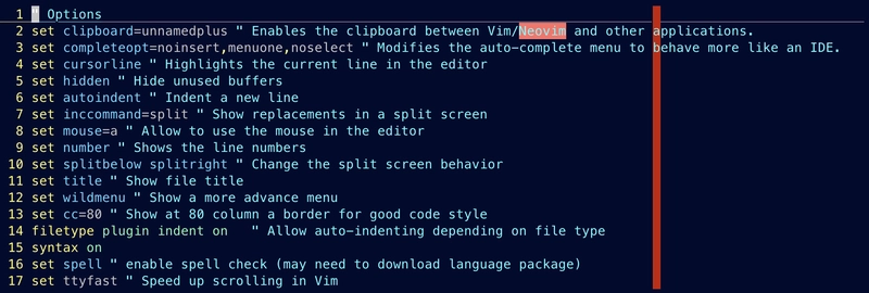 设置 init.vim