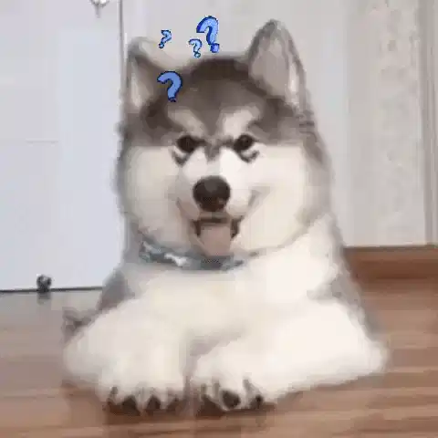 困惑的开发者