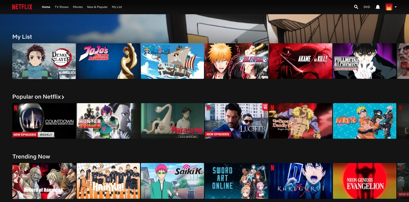 Netflix 网站部分