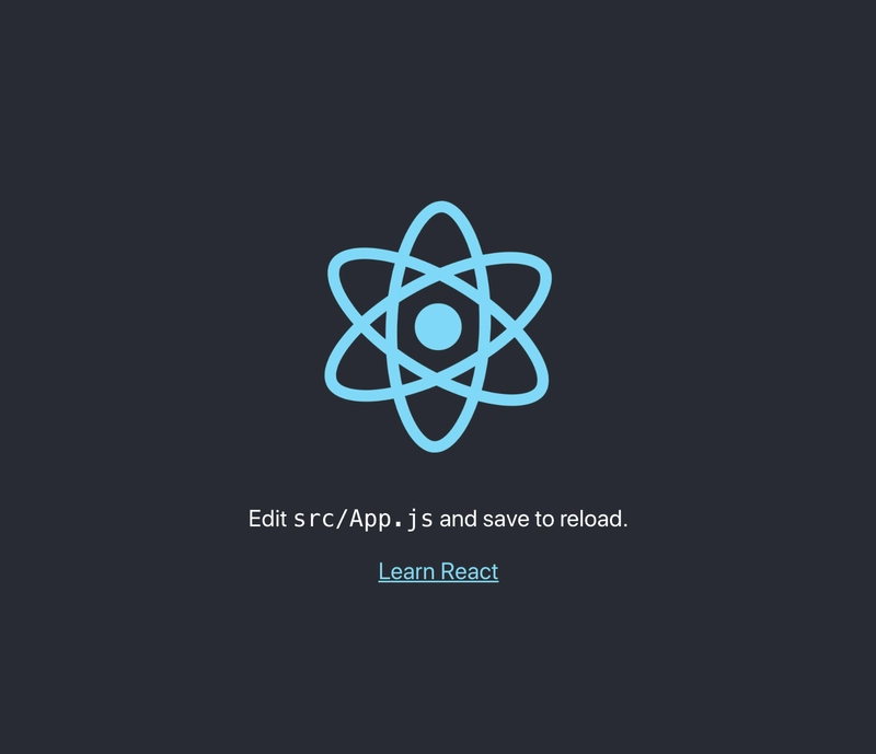 创建 React 应用默认视图