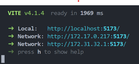 Vite dev server 启动时的终端输出