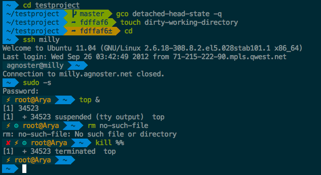 OMZ 注入的 Zsh 示例