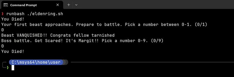 运行 NetworkChuck 的 bash 教程中的 eldenring 基本 bash 脚本