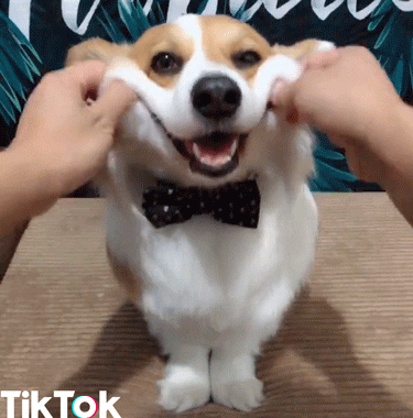 抖音终身