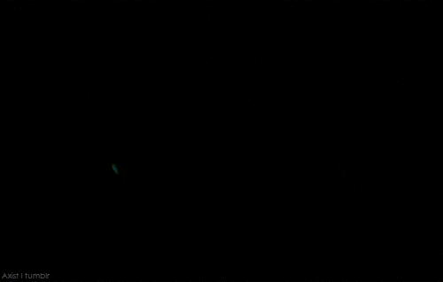 灯泡
