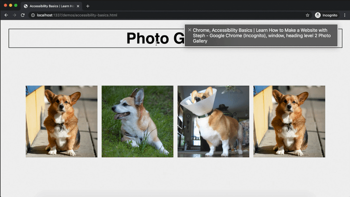 VO 阅读图像替代文本的演示
