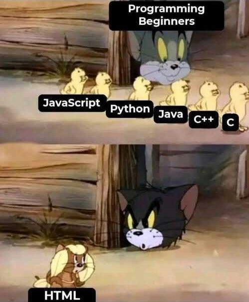 HTML 作为编程语言冒名顶替者：https://www.reddit.com/r/ProgrammerHumor/comments/10f60am/html_is_a_programming_language_trust_me/