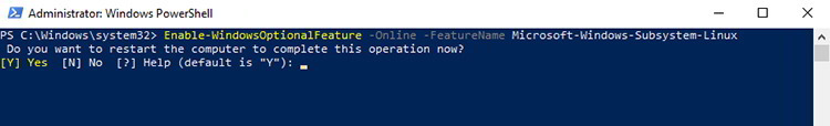 适用于 Linux WSL 的 Windows 子系统