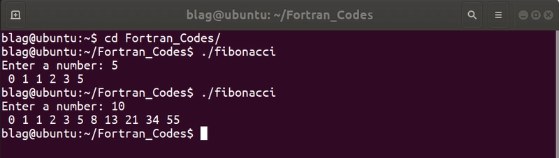 FORTRAN 执行程序