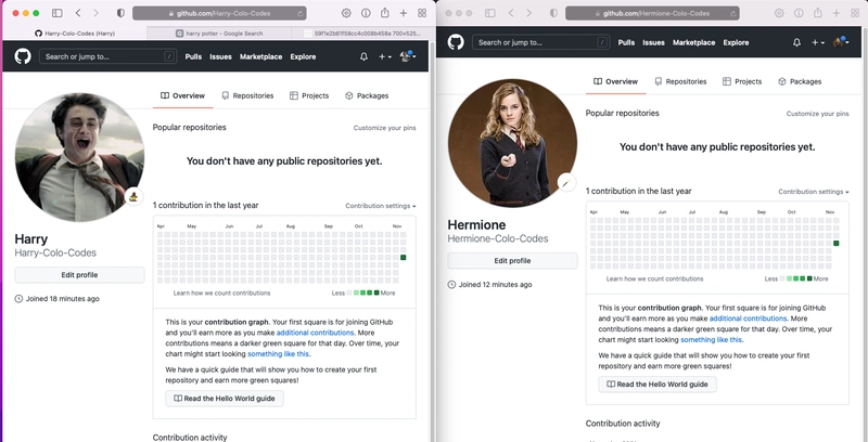 哈利和赫敏的 GitHub 帐户