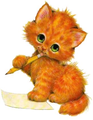 聪明的小猫，可以成为一名出色的工程师